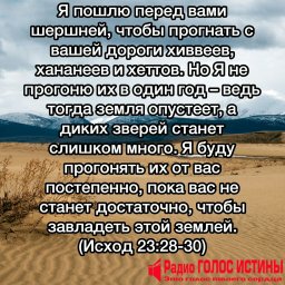 ​#Стих_Дня