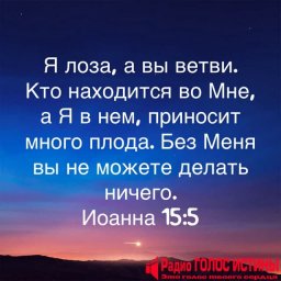 Послание Иоанна (15:5)