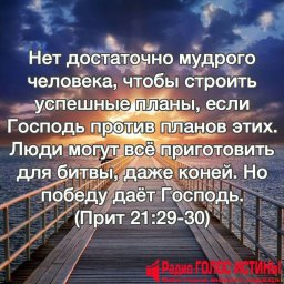 #Стих_Дня