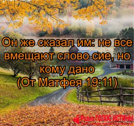 От Матфея 19:11