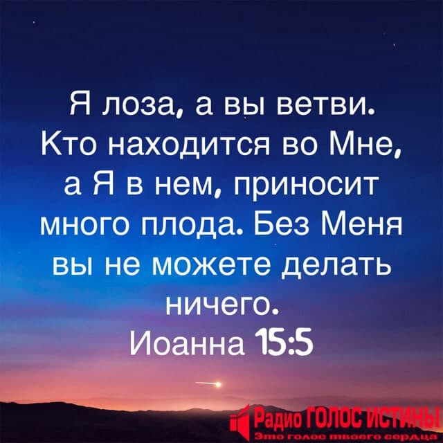 Послание Иоанна (15:5)