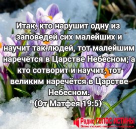 ​#Стих_Дня От Матфея 19:5